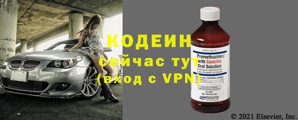 дмт Мегион