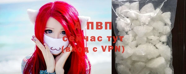 СК Медвежьегорск