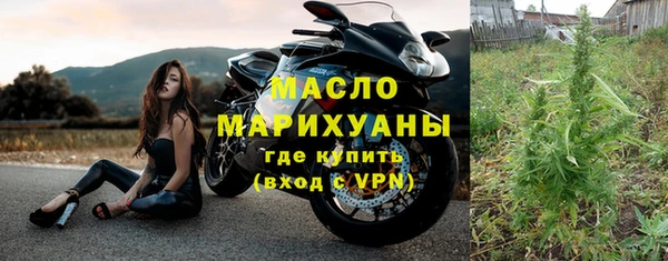 прущие грибы Гусев