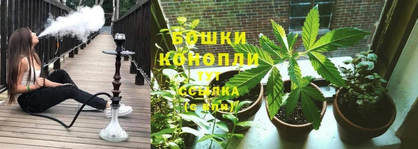 дмт Мегион
