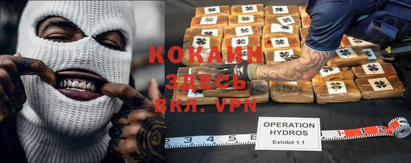 ПСИЛОЦИБИНОВЫЕ ГРИБЫ Медногорск