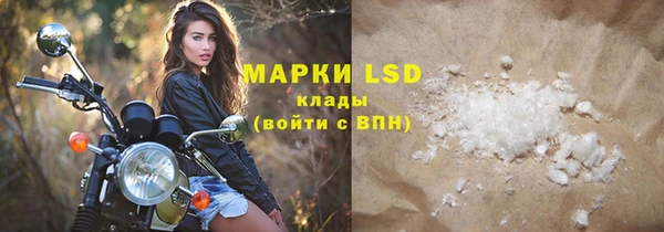 СК Медвежьегорск