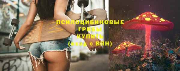 дмт Мегион