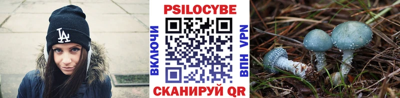Галлюциногенные грибы Psilocybine cubensis  закладка  Дегтярск 